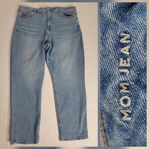 AMERICAN EAGLE MOM Jeans SZ 18 High Rise Stretch Tampered AEO Womens